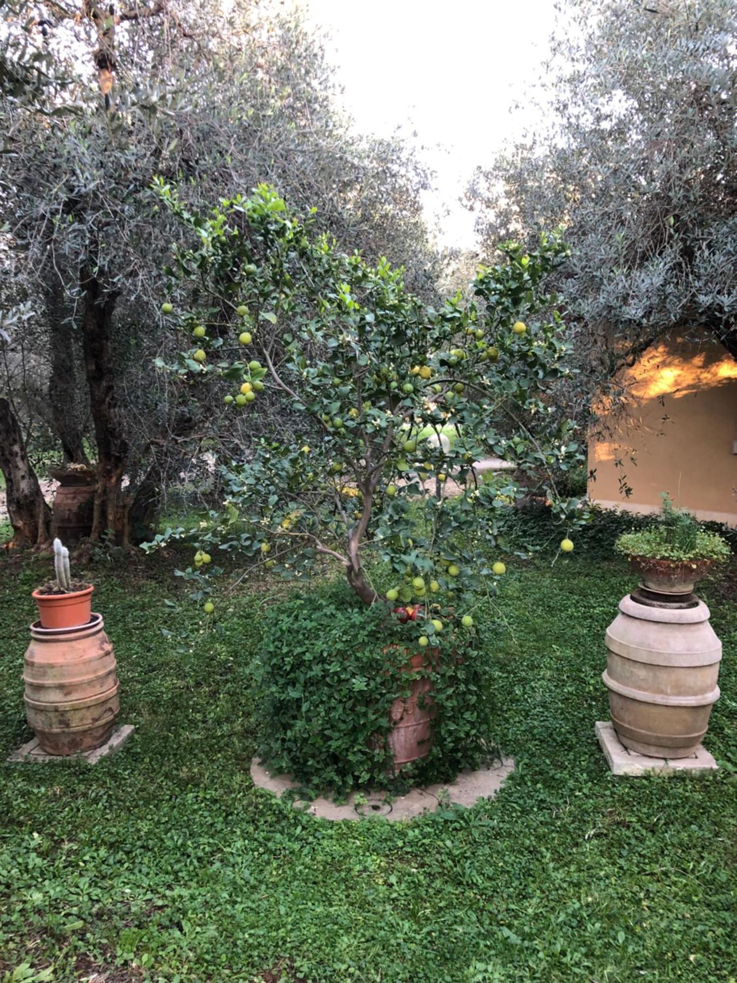 מנצ'יאנו Agriturismo La Canonica מראה חיצוני תמונה